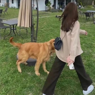 阴儿房2